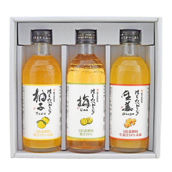 はちみつドリンクセットFH-30