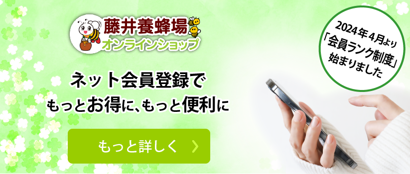 会員登録するとお得です